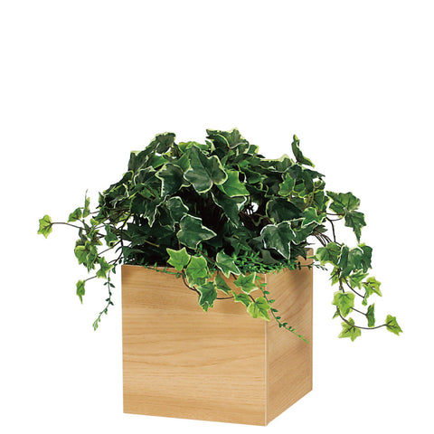 リアルな卓上ポット GR4255|キューブタイプ(大)/ナチュラル