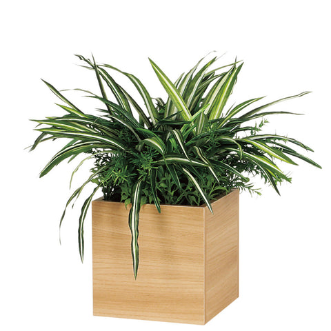 リアルな卓上ポット GR4257|キューブタイプ(大)/ナチュラル