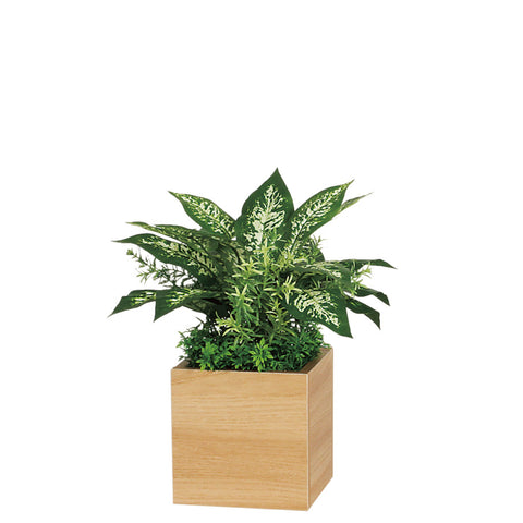 リアルな卓上ポット GR4484|キューブタイプ(中)/ナチュラル