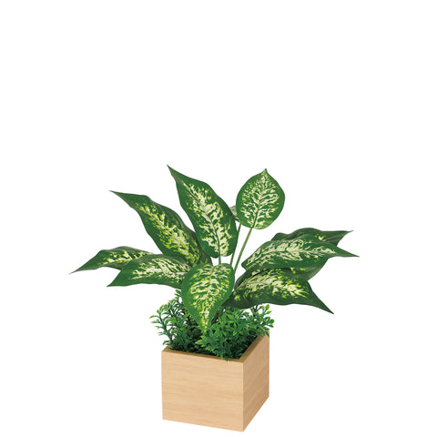 リアルな卓上ポット GR4382|キューブタイプ(ミニ)/ナチュラル