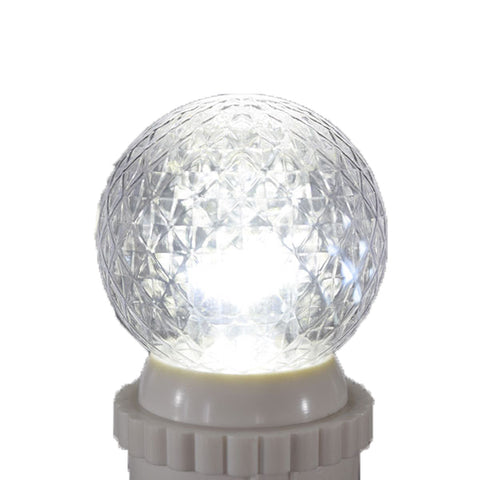 LEDサイン球「キラキラ君」（黄、白）
