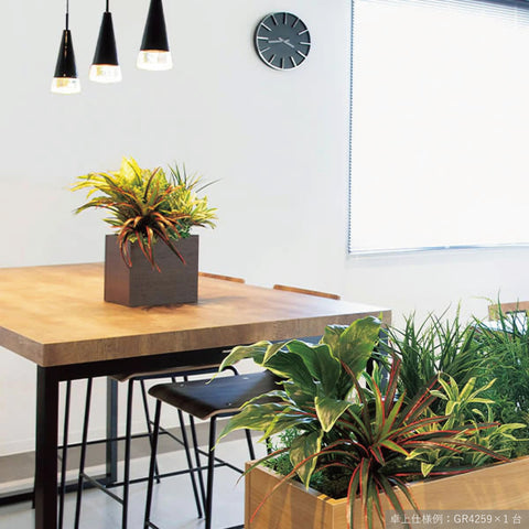 リアルな卓上ポット GR4257|キューブタイプ(大)/ナチュラル