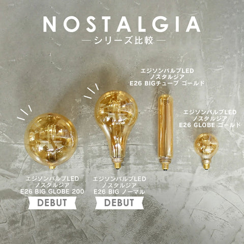 エジソンバルブ LED E26 ノスタルジア ビッググローブ200