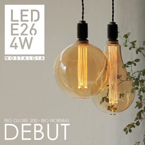 エジソンバルブ LED E26 ノスタルジア ビッググローブ200